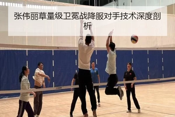 张伟丽草量级卫冕战降服对手技术深度剖析